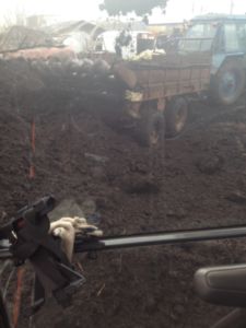 Купить торф Икша